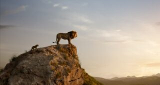Le Roi Lion : photo