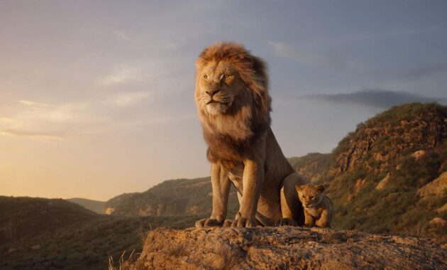 Le Roi Lion : photo