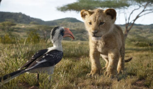 Le Roi Lion : photo