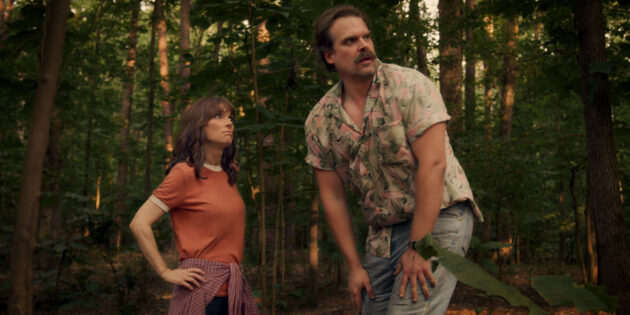 photo, David Harbour, Winona Ryder