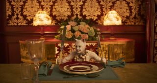 Cats : photo