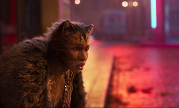 Cats : photo