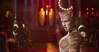 Cats : photo