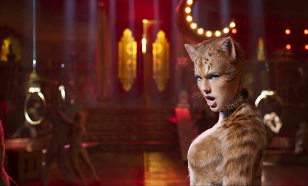 Cats : photo