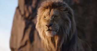 Le Roi Lion : photo