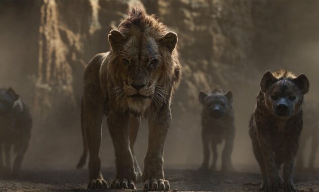 Le Roi Lion : photo
