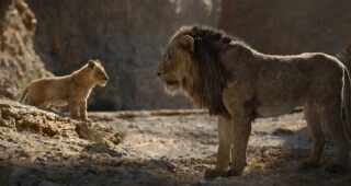 Le Roi Lion : photo