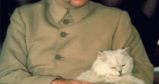 On ne vit que deux fois : photo, Donald Pleasence