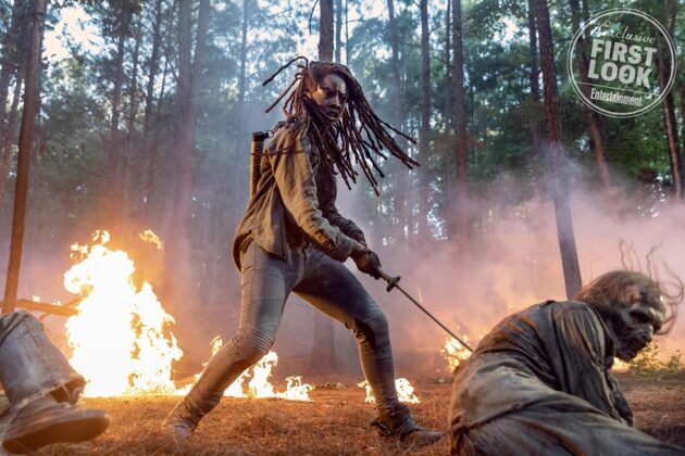 photo Michonne
