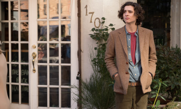 Un jour de pluie à New York : photo, Timothée Chalamet