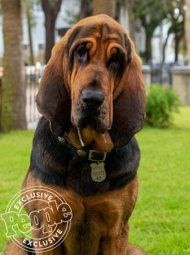César