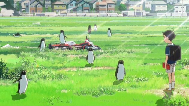 photo Mystère des pingouins