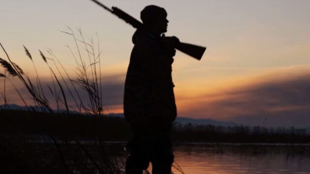 photo The Hunt
