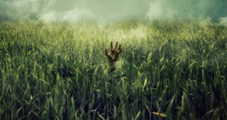 Dans les hautes herbes : Affiche