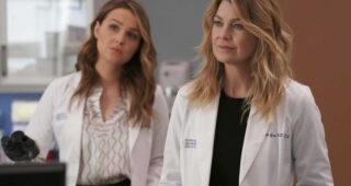 Grey's Anatomy : photo, Ellen Pompeo, Camilla Luddington