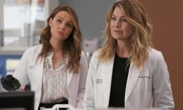 Grey's Anatomy : photo, Ellen Pompeo, Camilla Luddington