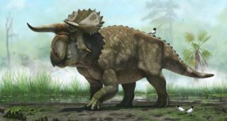 Jurassic World : Fallen Kingdom : photo