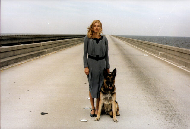 photo, Cinzia Monreale