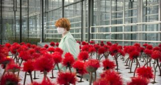 Little Joe : photo, Emily Beecham