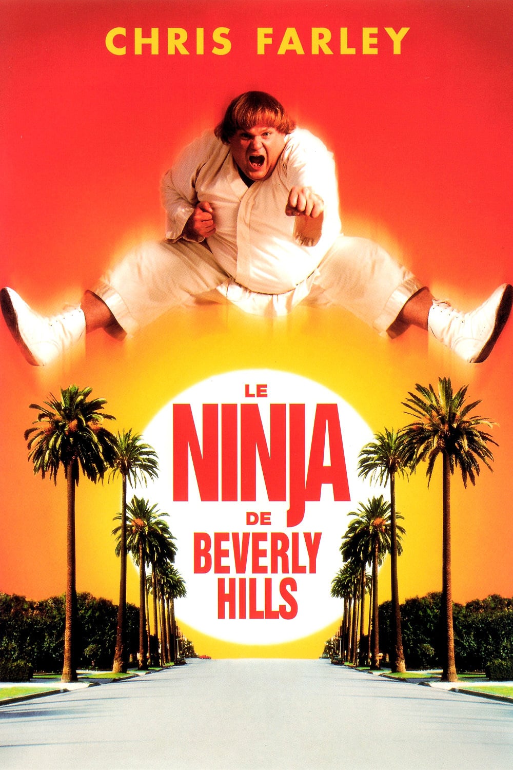 Le Ninja de Beverly Hills : Affiche officielle