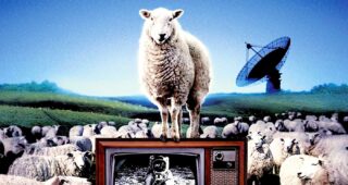 Dish (The) : Affiche officielle