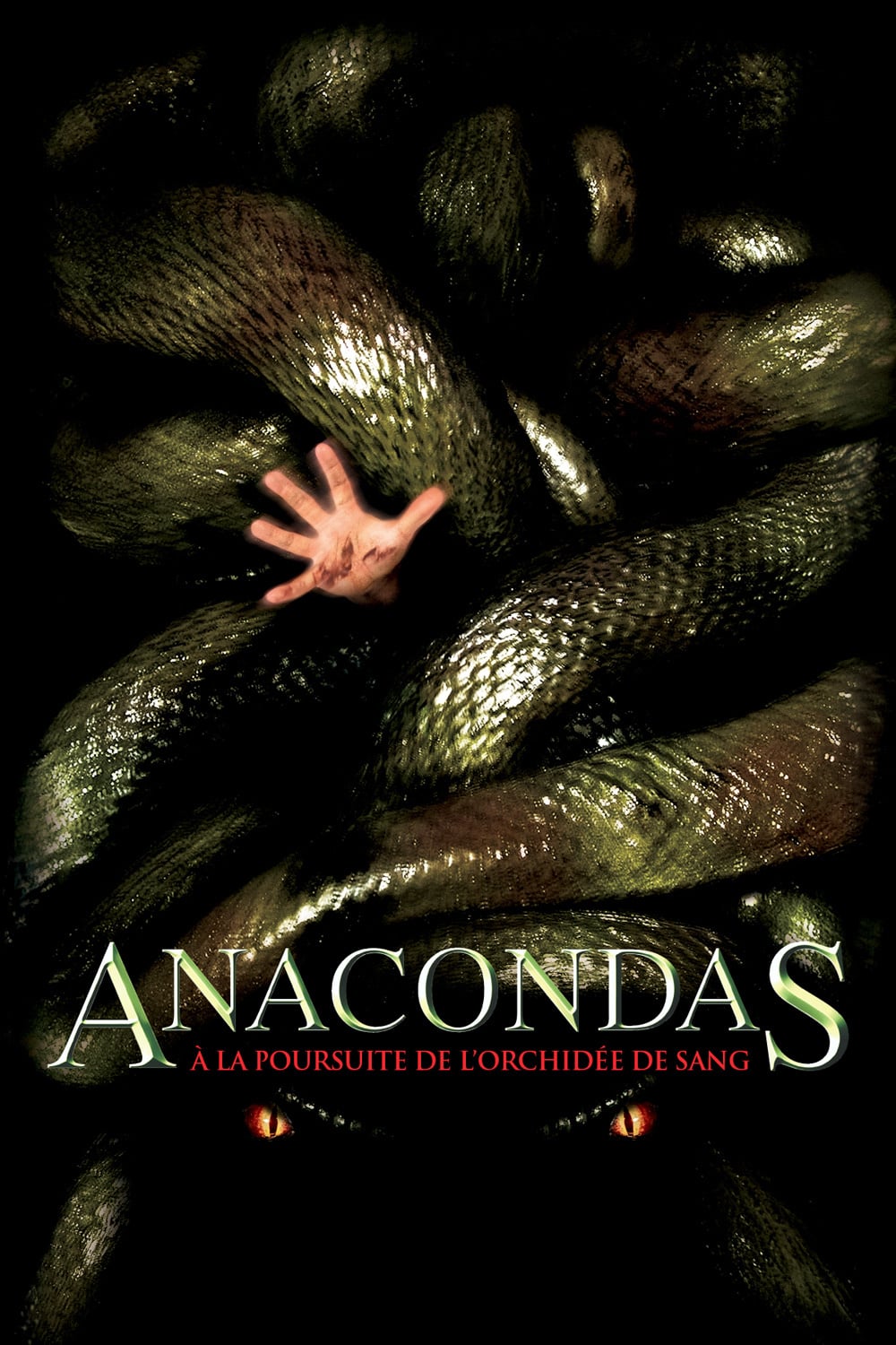 Anacondas - À la poursuite de l'orchidée de sang