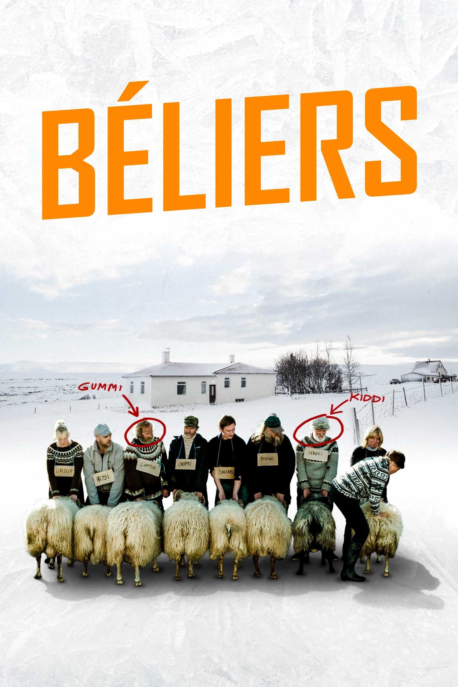 Béliers : Affiche officielle