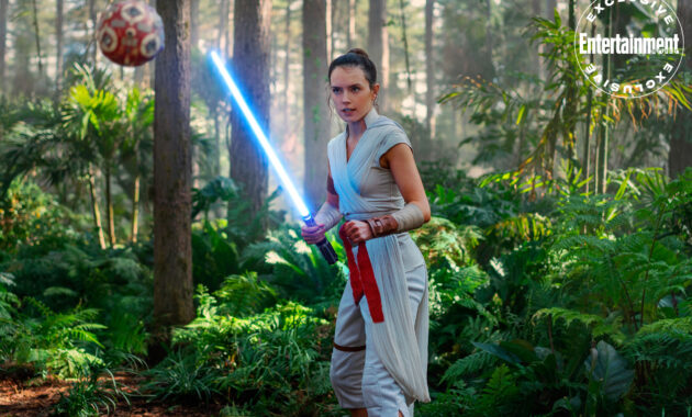 Ascension de Skywalker