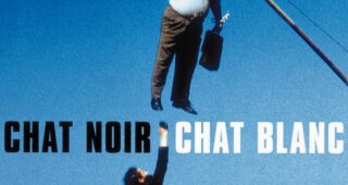 Chat noir, chat blanc : Affiche officielle