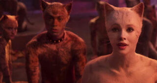 Cats : Photo Cats