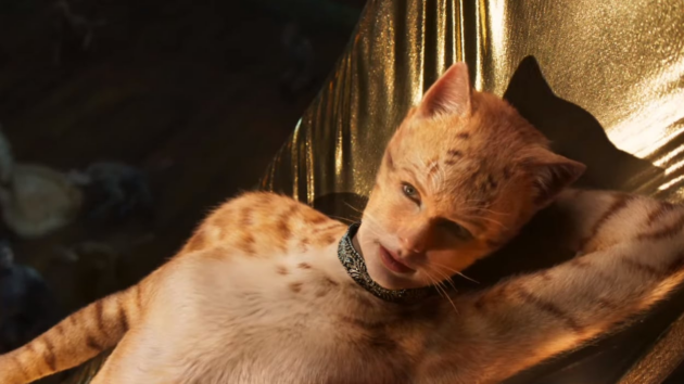 Photo Cats