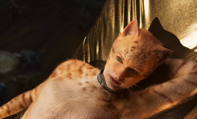 Cats : Photo Cats