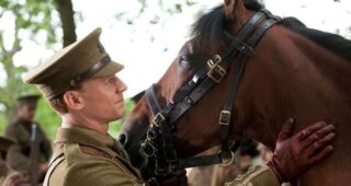 Cheval de guerre : photo