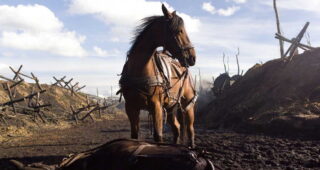 Cheval de guerre : photo