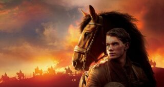 Cheval de guerre : photo