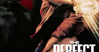 Arme parfaite (L') : Affiche officielle
