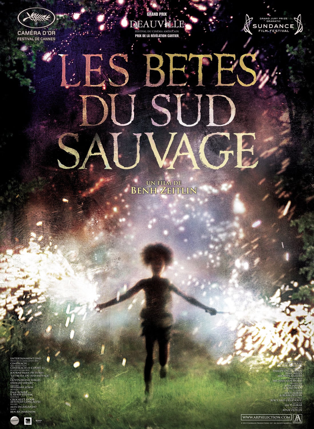 Les Bêtes du sud sauvage : Affiche officielle
