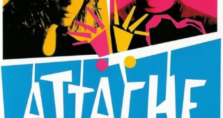 Attache-moi ! : Affiche officielle