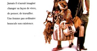 Voyageur malgré lui : Affiche officielle