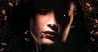 Candyman 2 : Affiche officielle