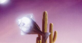 Arizona Dream : Affiche officielle