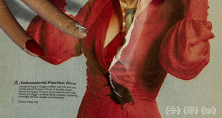 In Fabric : Affiche française