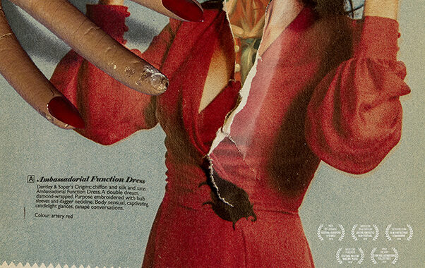 In Fabric : Affiche française