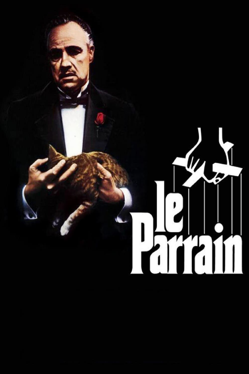 Roman Coppola : Photo officielle