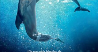 L'Incroyable Histoire de Winter le dauphin 2 : Affiche officielle