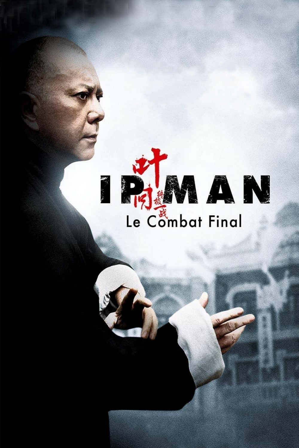 Ip Man : The final fight