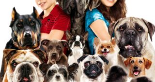 Palace pour chiens : Affiche officielle