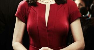 The Good Wife : Affiche officielle