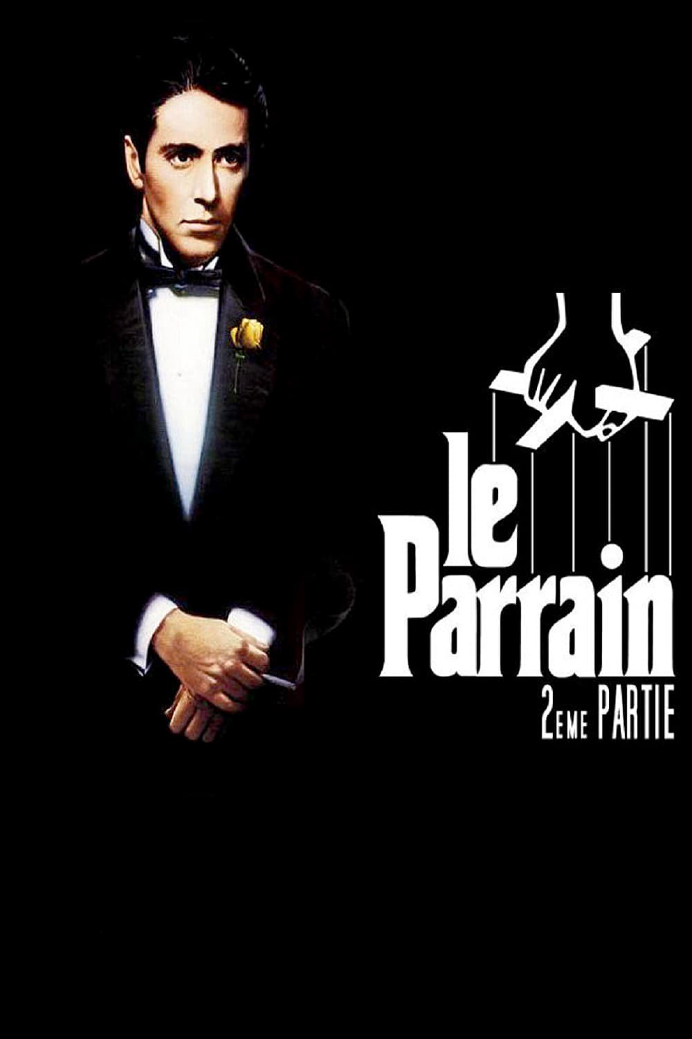 Roman Coppola : Photo officielle