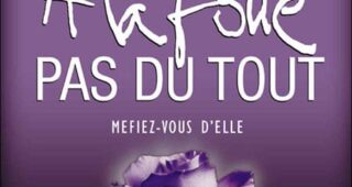 À la folie... pas du tout : Affiche officielle